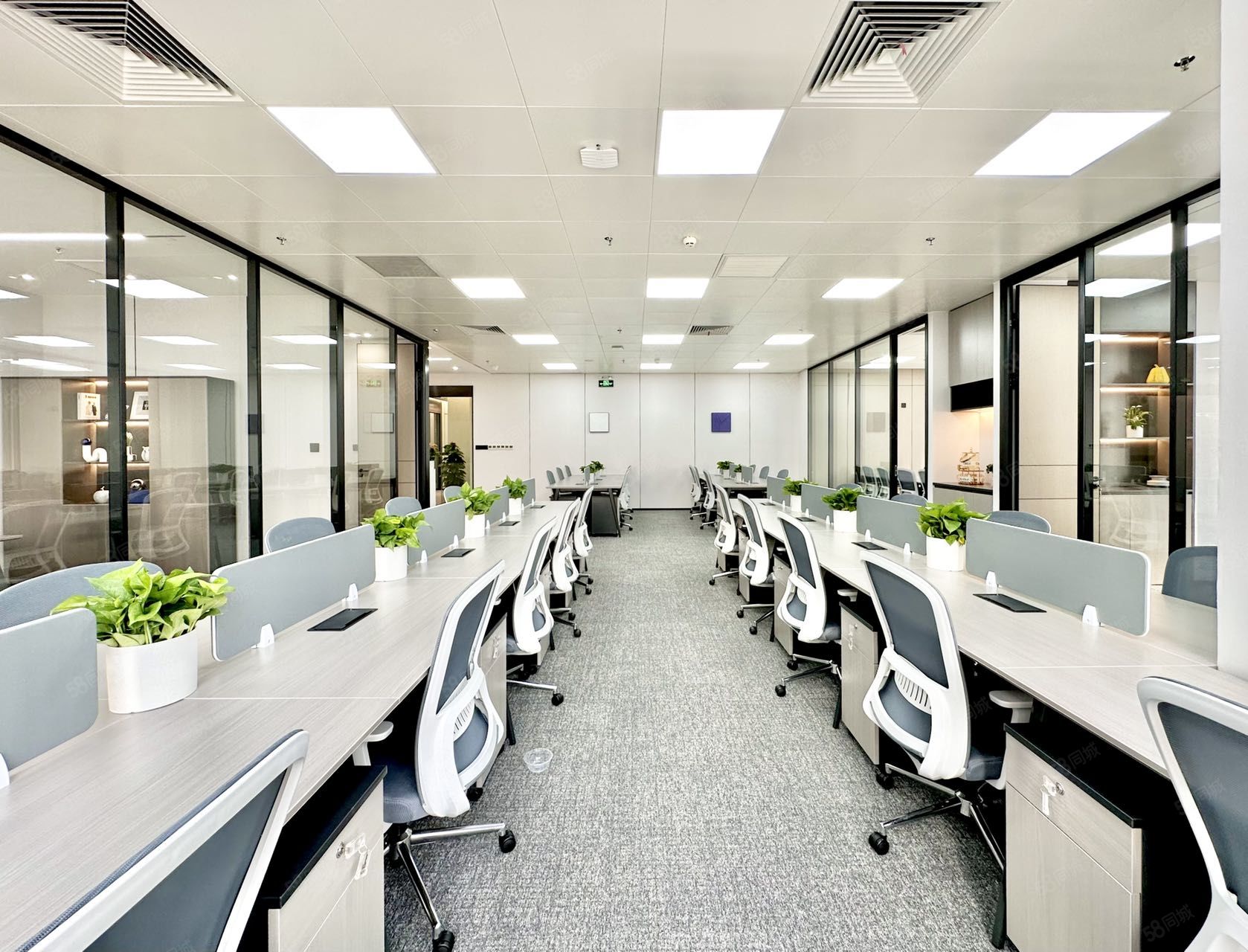 听雨麻多元化产品